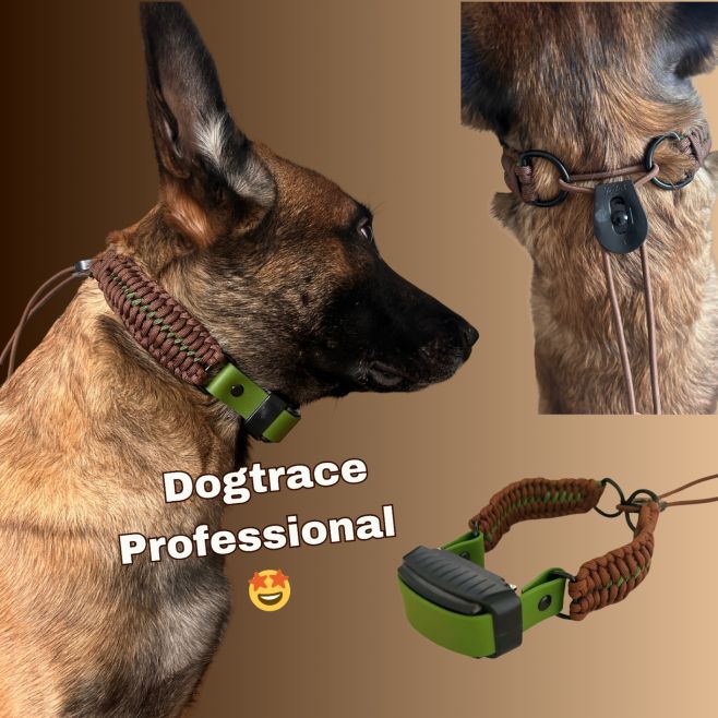 Paracord collar for Dogtrace Professional with fixlock closure 🍂🐕🐾 #dogsofinstagram #dogcollar #dogfashion
